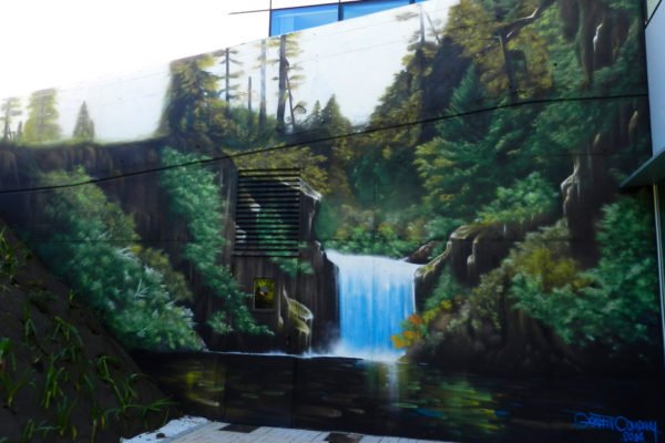 Mural de cascada Graffiti profesional de cascada