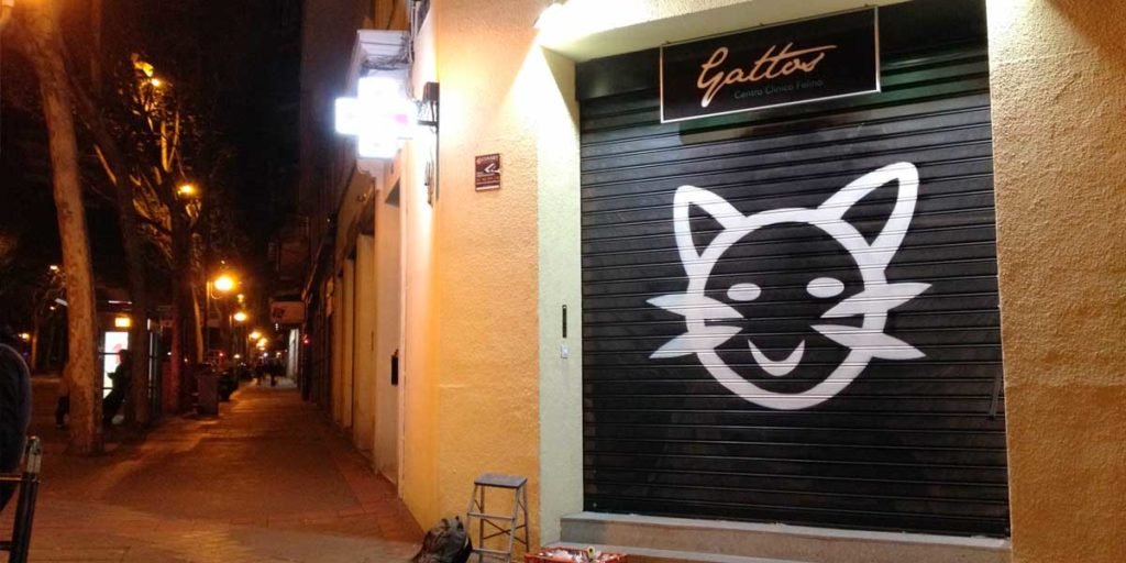 Graffiti-de-logo-en-cierre-de-clinica-veterinaria Graffiti de logo en cierre de clínica veterinaria.