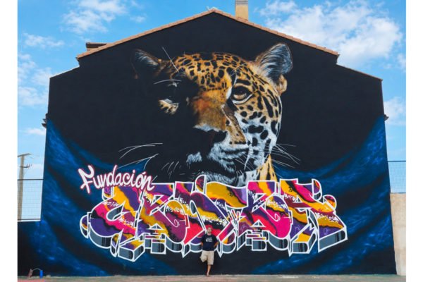 Graffiti-mural-de-jaguar-en-Segovia Graffiti mural de jaguar en fachada