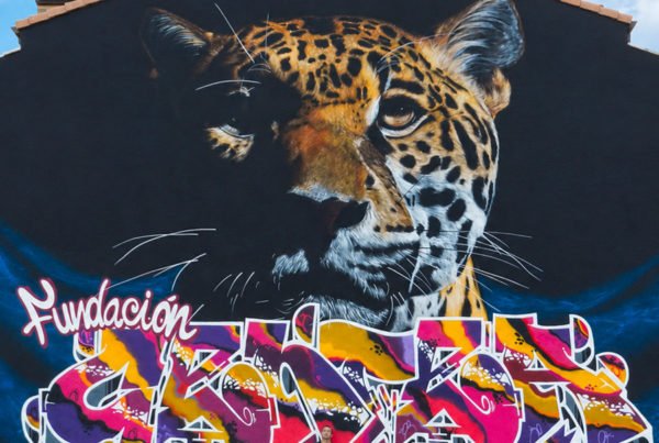Graffiti mural en Segovia