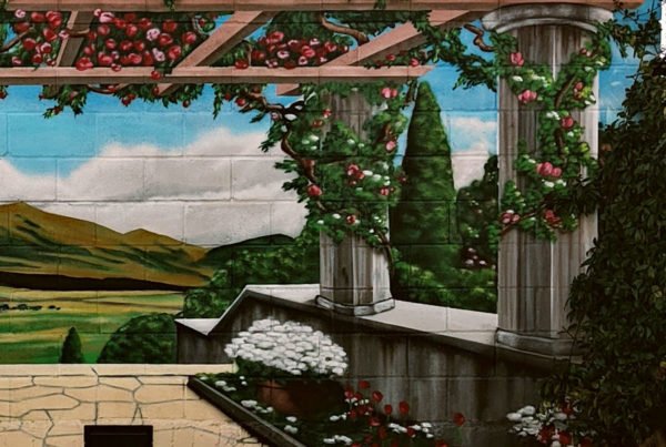 Murales y graffitis en patios y pisicinas